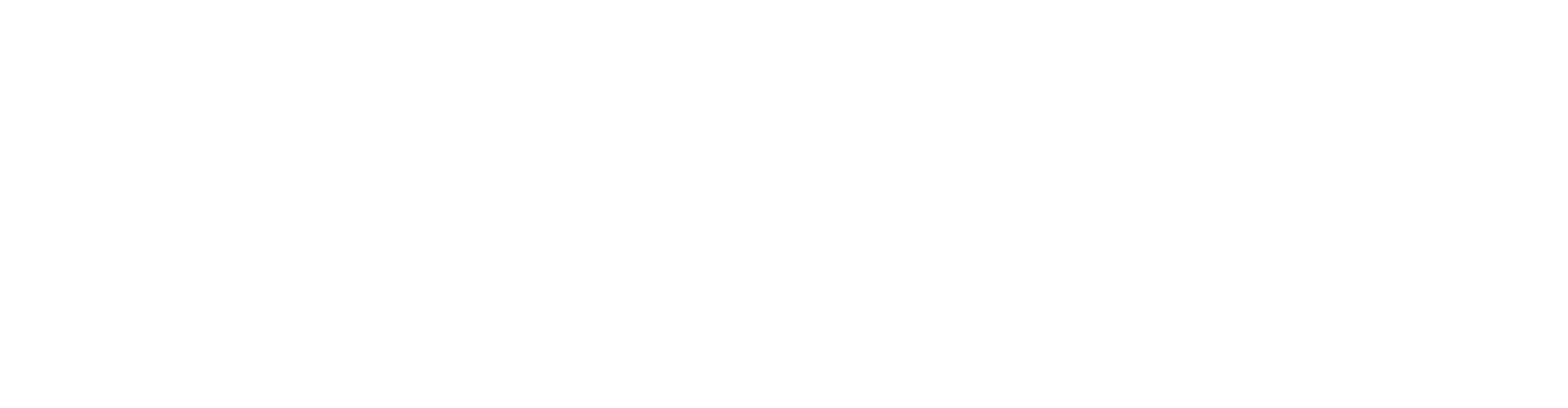 Videotiiviste